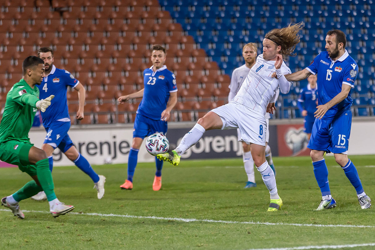 爱尔兰队赢得胜利，塞尔维亚队遗憾出局