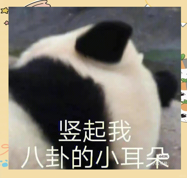 惊心动魄！悬念战！胜负难料的简单介绍