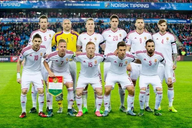 匈牙利队惊险晋级下一轮欧预赛