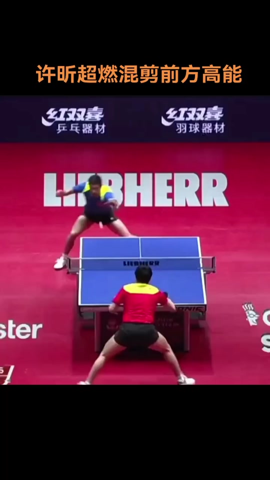 奥地利队碾压韩国队，许昕高光表现的简单介绍